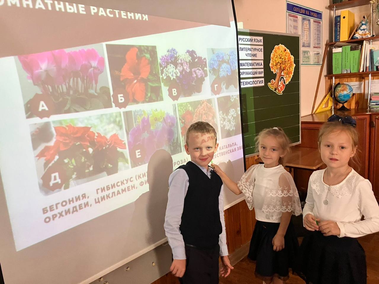 Всероссийский урок «Эколята - молодые защитники природы».